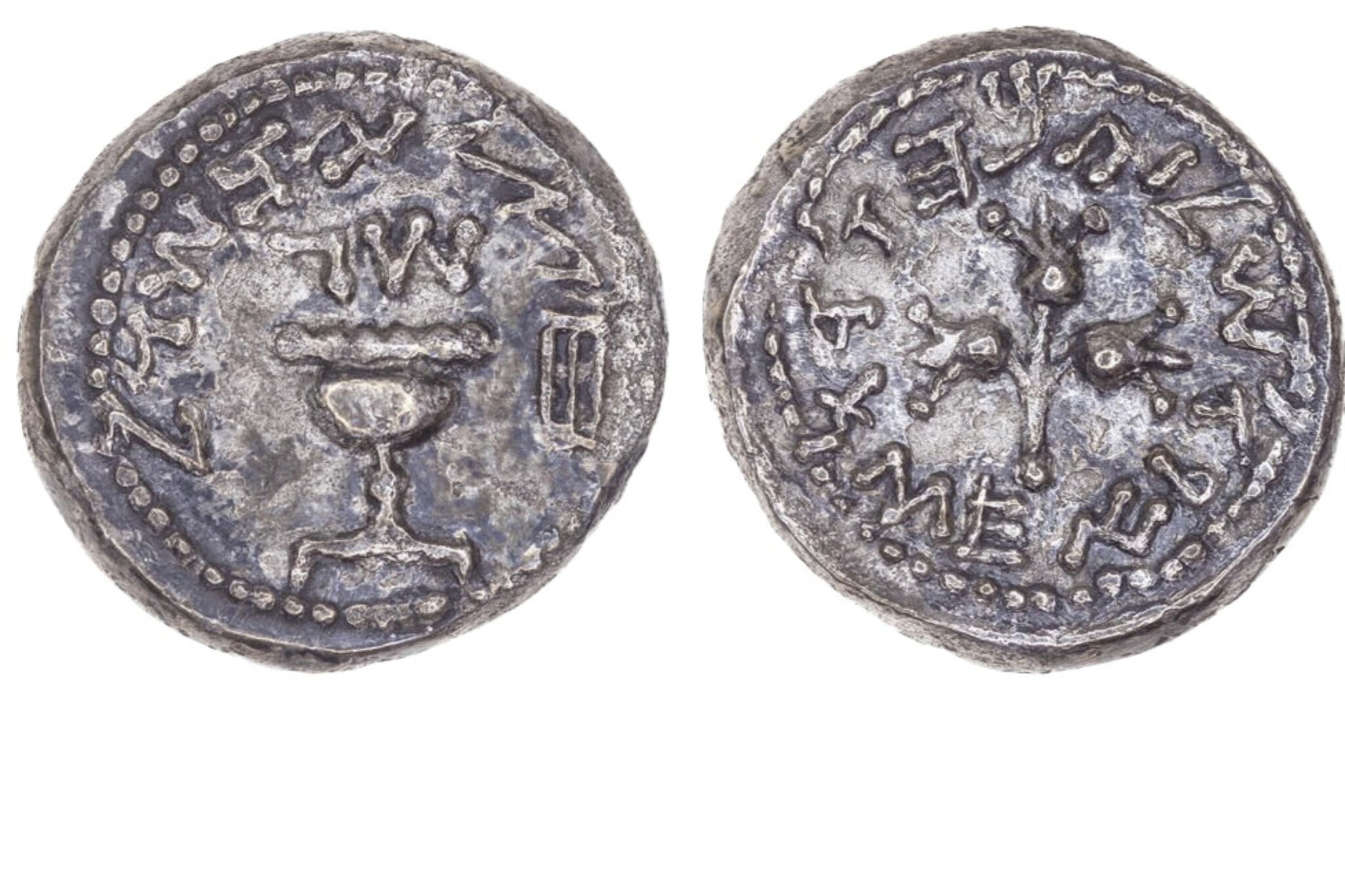 Interview Dr. Yoav Farhi on the Rare 2,000YearOld Silver HalfShekel